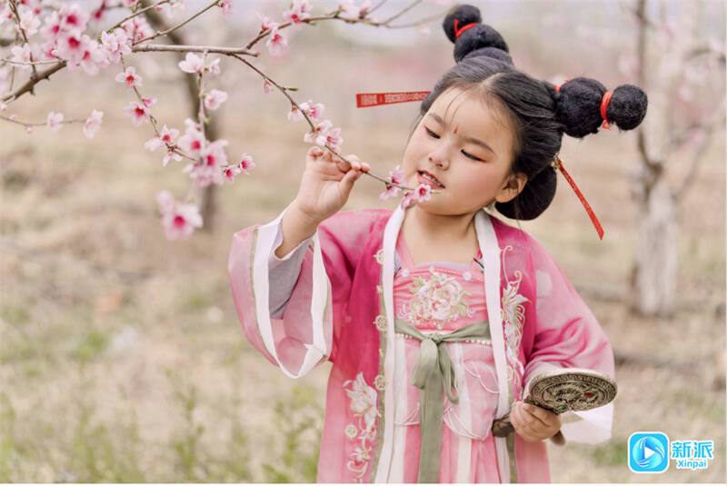 百花开喜迎游客来(图4)